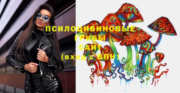 соль ск Новокубанск