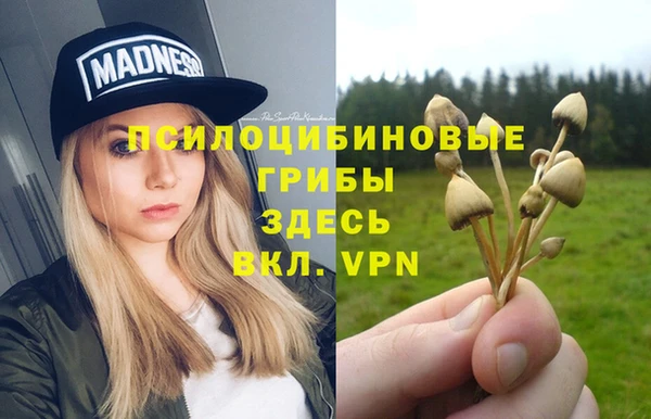 трава Новодвинск