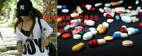 мдпв Новозыбков