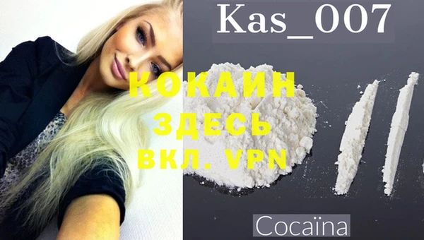 мдпв Новозыбков