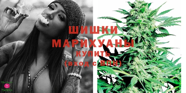 мдпв Новозыбков