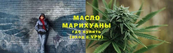 мдпв Новозыбков