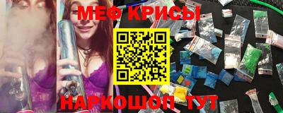 индика Бийск