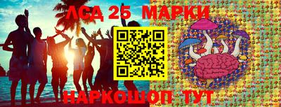 гашик Гусев