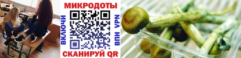 сколько стоит Сатка Галлюциногенные грибы мухоморы