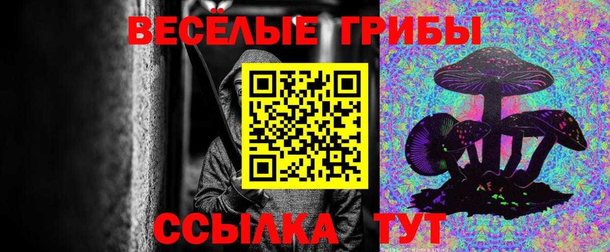 Сатка  Галлюциногенные грибы MAGIC MUSHROOMS  Вход с VPN 