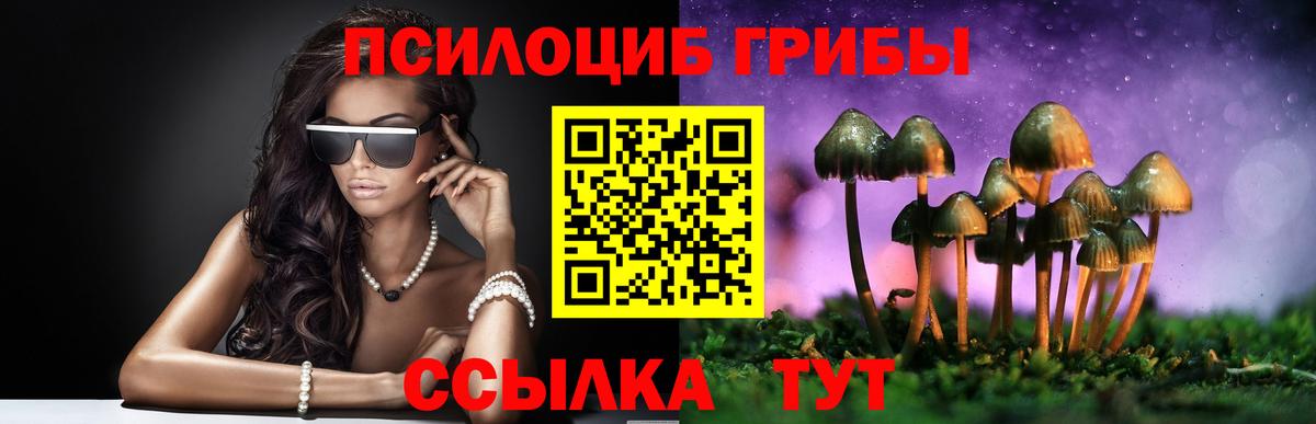 Галлюциногенные грибы Psilocybine cubensis  Сатка  Псилоцибиновые грибы мицелий 