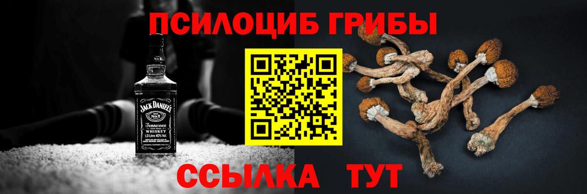 Псилоцибиновые грибы Cubensis Сатка