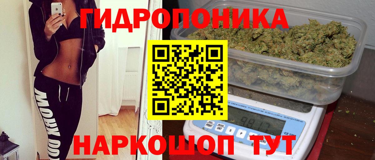 Каннабис MAZAR  Сатка  Шишки марихуана OG Kush  Конопля MAZAR  Бошки марихуана конопля 